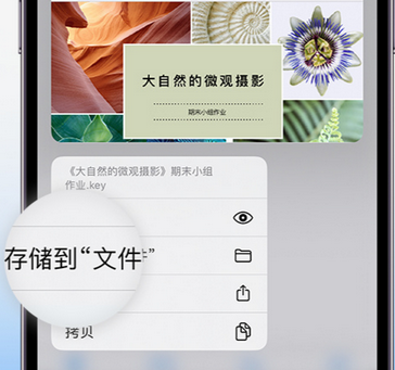 西华apple维修中心分享iPhone文件应用中存储和找到下载文件