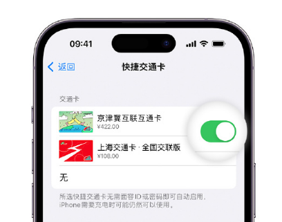 西华apple维修点分享iPhone上更换Apple Pay快捷交通卡手绘卡面 