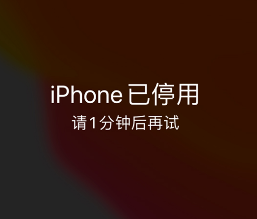 西华苹果手机维修分享:iPhone 显示“不可用”或“已停用”怎么办？还能保留数据吗？ 