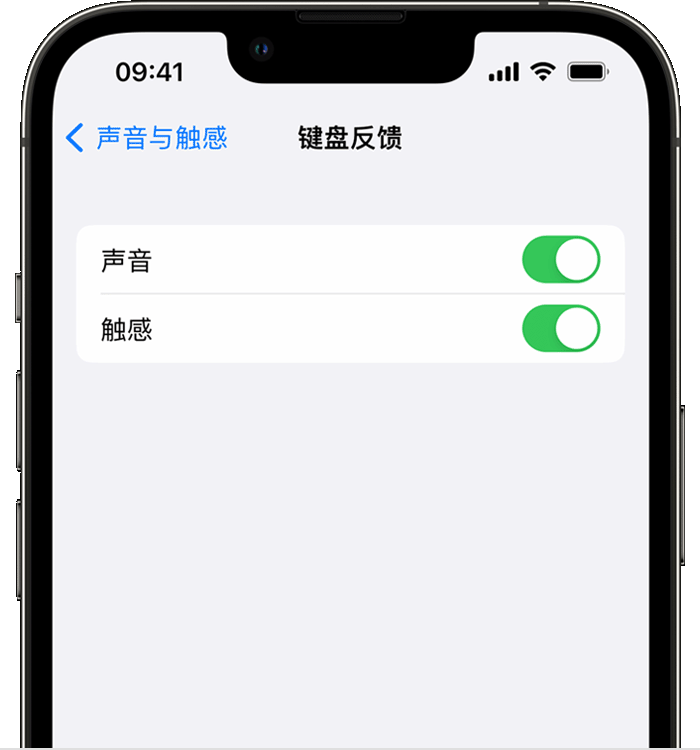 西华苹果14维修店分享如何在 iPhone 14 机型中使用触感键盘 