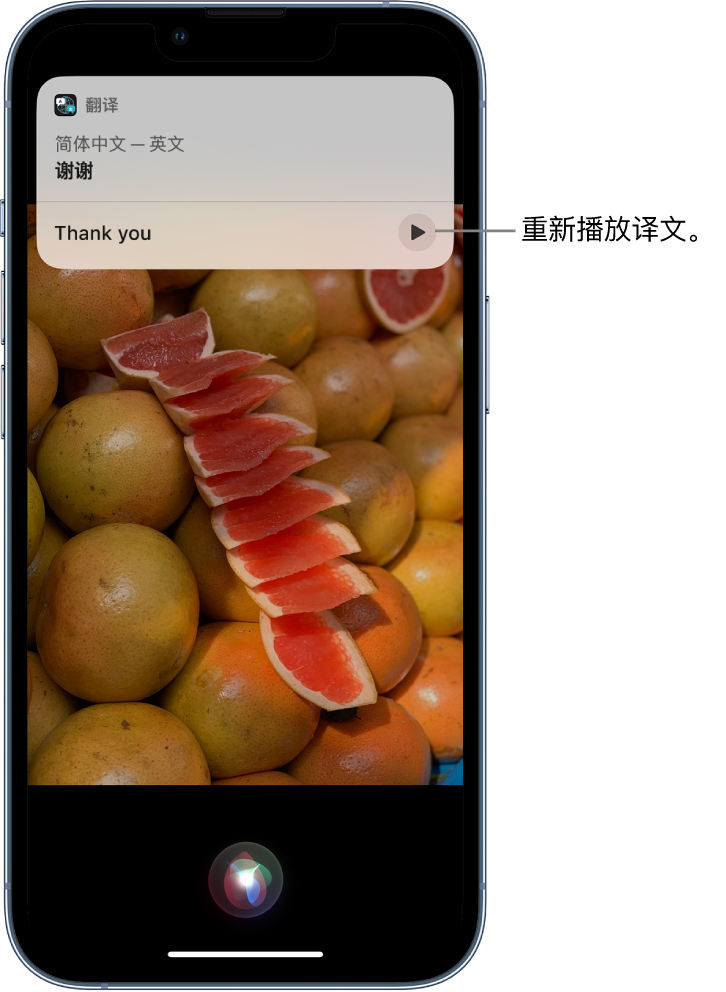 西华苹果14维修分享 iPhone 14 机型中使用 Siri：了解 Siri 能帮你做什么 