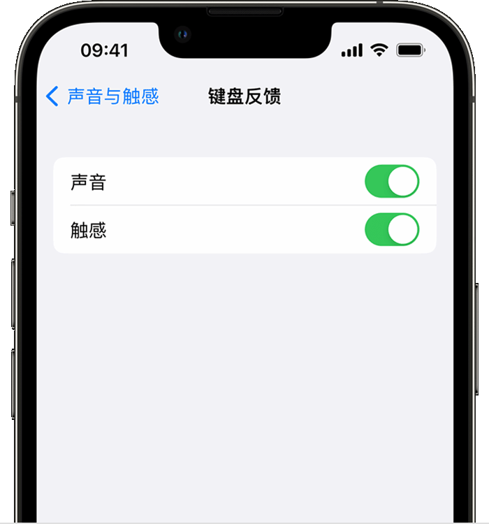 西华苹果14维修分享iPhone 14 系列机型如何开启键盘声音或触感反馈 