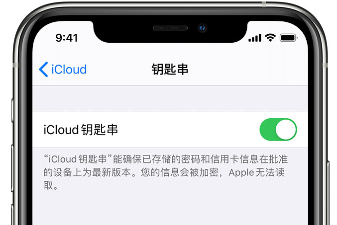 西华苹果手机维修分享在 iPhone 上开启 iCloud 钥匙串之后会储存哪些信息 