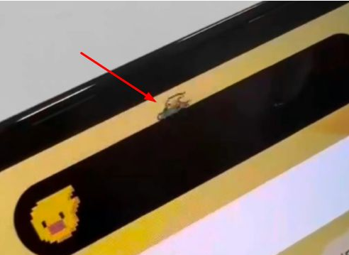 西华苹果14维修分享iPhone 14 Pro Max灵动岛怎么养宠物 