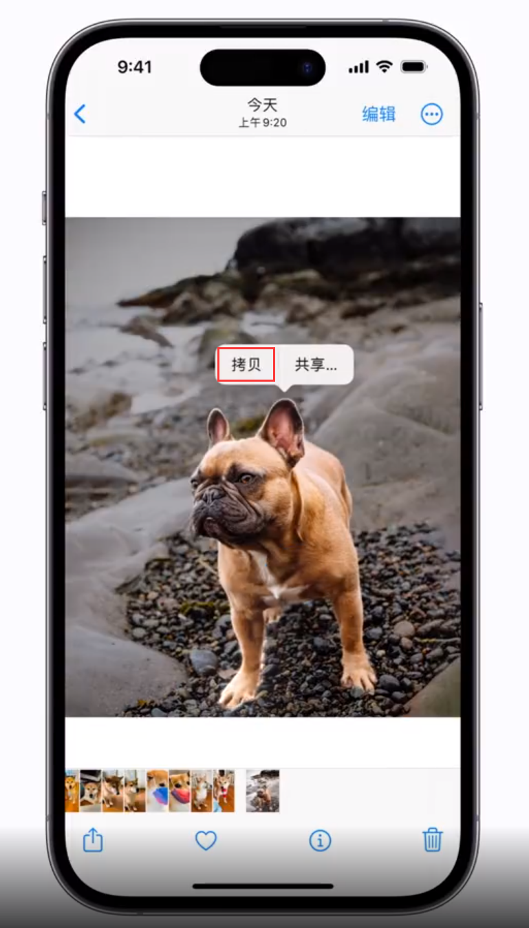 西华苹果手机维修分享 iOS 16 自带一键抠图功能 
