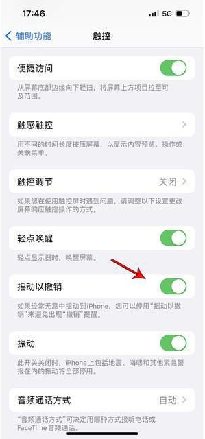 西华苹果手机维修分享iPhone手机如何设置摇一摇删除文字 