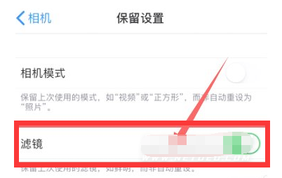 西华苹果13维修分享iPhone13拍照有绿点是怎么回事 