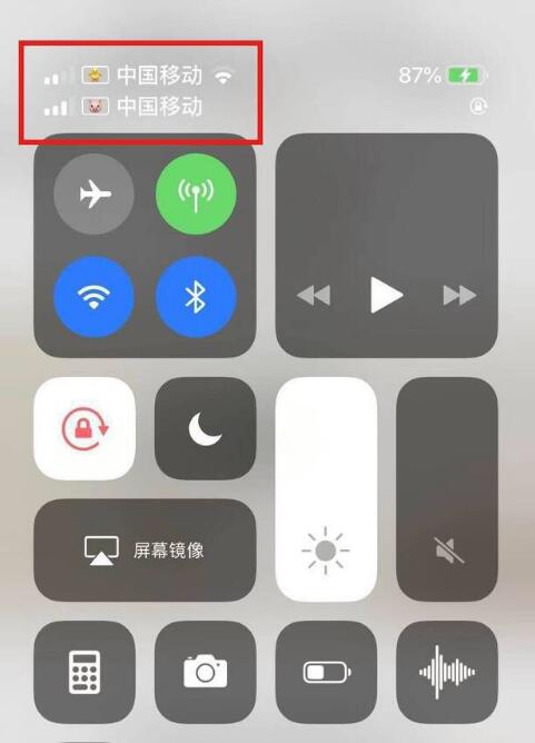 西华苹果手机维修分享为 iPhone 12 双卡设置标签 